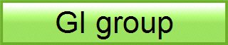 GI group