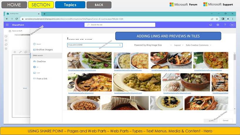 Immagine che contiene testo, schermata, Pagina Web, Sito Web

Il contenuto generato dall'IA potrebbe non essere corretto.