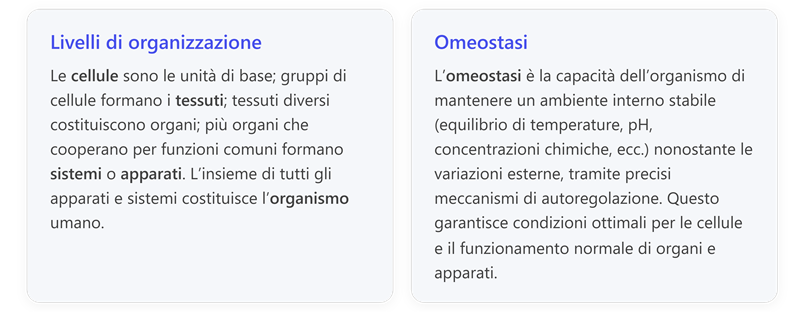 Immagine che contiene testo, schermata, Carattere, numero

Il contenuto generato dall'IA potrebbe non essere corretto.