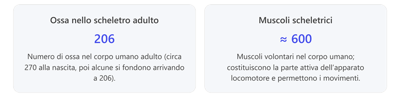 Immagine che contiene testo, schermata, Carattere, biglietto da visita

Il contenuto generato dall'IA potrebbe non essere corretto.