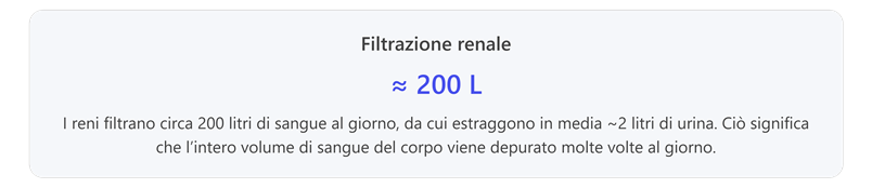 Immagine che contiene testo, schermata, Carattere, linea

Il contenuto generato dall'IA potrebbe non essere corretto.