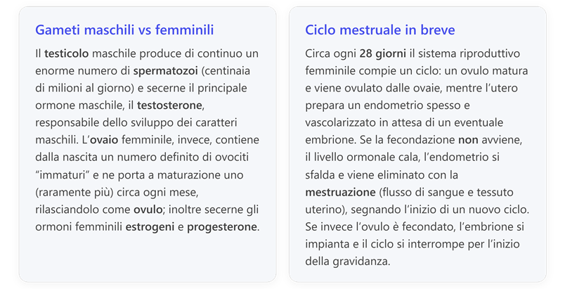 Immagine che contiene testo, schermata, Carattere, numero

Il contenuto generato dall'IA potrebbe non essere corretto.