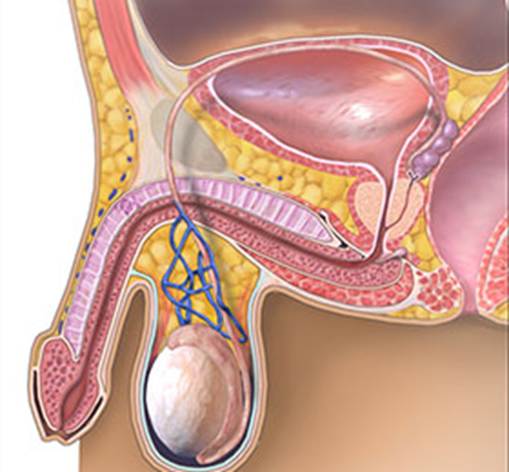 Immagine che contiene dipinto, arte

Il contenuto generato dall'IA potrebbe non essere corretto.