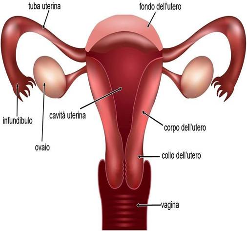 Immagine che contiene cartone animato

Il contenuto generato dall'IA potrebbe non essere corretto.