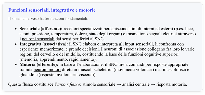 Immagine che contiene testo, schermata, Carattere, numero

Il contenuto generato dall'IA potrebbe non essere corretto.